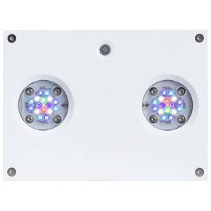 Hydra 32 HD LED Reef Mild – White End