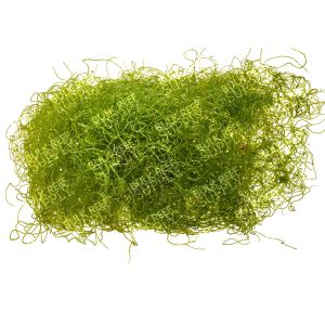 ORA Chaetomorpha Macroalgae (Quarter Pound)