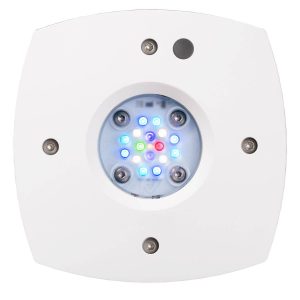 Prime 16 HD LED Reef Mild – White Housing